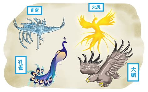 鳳育九雛|鳳育九雛:小說杜撰一,鵷鶵,金鵬（與鯤所化得大鵬有所區別）,孔雀…